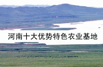 8月19日，河南省政府發(fā)布了關(guān)于深入推進農(nóng)業(yè)供給側(cè)結(jié)構(gòu)性改革 大力發(fā)展優(yōu)勢特色農(nóng)業(yè)的意見