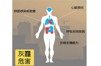 空氣中PM2.5 是由什么物質(zhì)組成的？