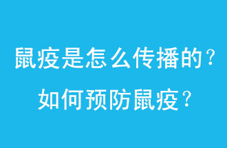 鼠疫是怎么傳播的？如何預(yù)防鼠疫？